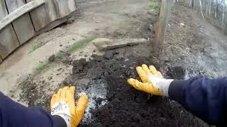 Посадка Картофеля Супер грядка на отработанных Грибных блоках без окучивания