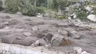 Oh my Allah have mercy on this natural calamity Flood relay in Gojal Hunza gilgit baltistan