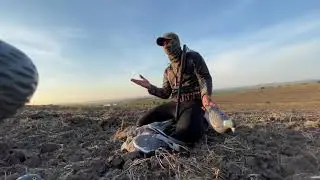 Осенняя охота на голубя , неплохой результат
