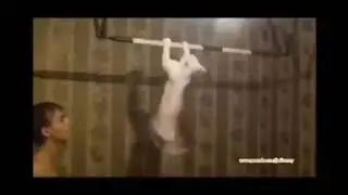 💯💯💯