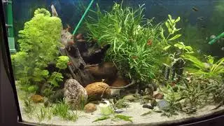 Juwel Vision 450 Rescape before & after