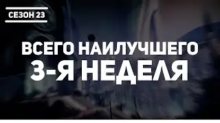 Destiny 2 | Сезон 23 Желание 3-я неделя | Сюжет Всего Наилучшего