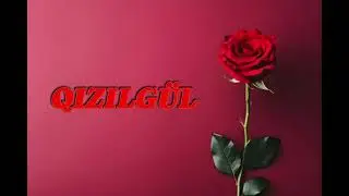 Qizilgul mahnisi Remiks 2024