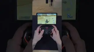 Worlds coolest Nintendo Switch Accessory