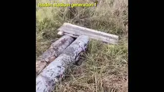 Raiden stadium generation 1 начало