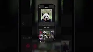 From Real Life To Zoomerang Animated World✨🐼 #viral #ai #zoomerang