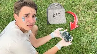 CRACKING OPEN THE MYSTERY EGGS ! I CANT BELIEVE THIS HAPPENED… RIP