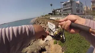 Fishing Marina Del Rey.