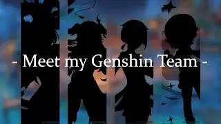 Meet my Genshin team