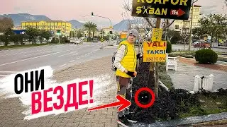VLOG: Как живет Аланья Турция — город котиков на берегу Средиземного моря
