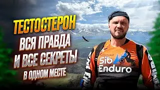 Тестостерон. Как поднять? Вся правда и что он вообще даёт!? Половое воздержание. Подкаст-PRAVDARUB#1
