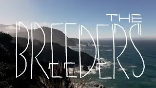 The Breeders - Live in Big Sur