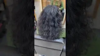 How to do chocolate brown hair colour | without bleach #haircolouring #haircare #hairstyh #hairstyle