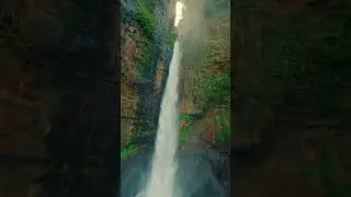 Wow 😲💯💫 #shorts #trending #discovery #naturebeauty #natureshorts
