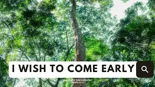 Landscape photography Explore the woodland | Photography Vlog