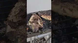 cooking