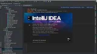 New Dart webdev experience in IntelliJ
