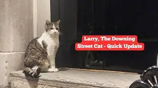 Larry, The Downing Street Cat - Polling Day - Quick Update