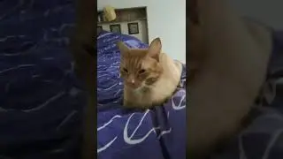 ❤❤