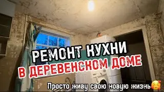 I saw a stork for the first time 👀😂 Sunsets, life, the joys of repairs))