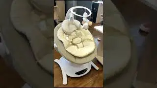 Колыбель Carrello Adora обзор