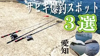 【行ったら釣れるスポット３選】サビキ釣り【愛知】　　　↓↓↓概要欄チェック↓↓↓