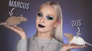 I PRESENT TO YOU MY RATS!! (+ to know)