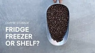 Should you store coffee in the fridge, freezer or shelf?