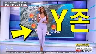 핑크 Y존 기상캐스터