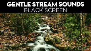 Gentle Stream Sounds for Sleeping | BLACK SCREEN | Quiet Stream | Babbling Brook Sounds