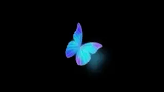 blue butterfly black screen effect | butterfly black screen status | black screen butterfly video