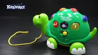 Keenway   Busy Tortoise