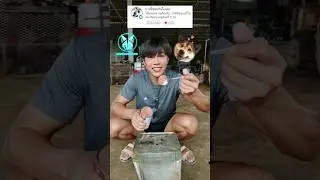 พี่ไม่เคยกิน 🥘 อาหารหมา 🐕