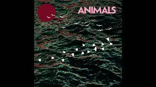 Animals - Midnight Shoppers