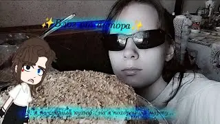 «Торт медовик :Р» я правда пыталась делать что-то похожее на торт.. вроде получилось! PS:марта died