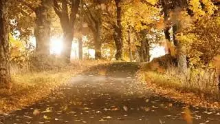 Зинаида Миркина.  На свете есть иное знанье