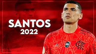 Santos 2022 ● Flamengo • Best Saves | Full HD