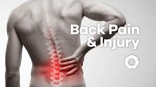 Episode 3: Back Pain & Injury