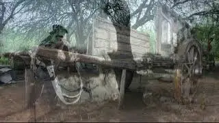 VIEJO CARRO