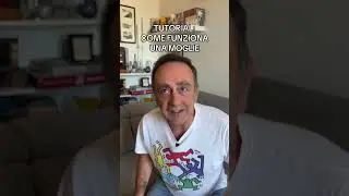 Come funzionano le mogli