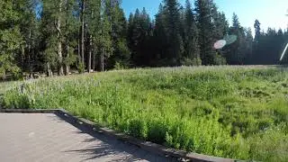 Jeff Rascov Videos