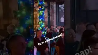 Скрипка-Лиса 