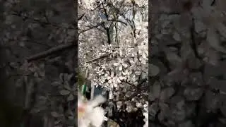 Весна Новороссийск 