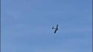Tiger moth in flight