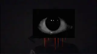 Intruder Alert - The Break in Incident