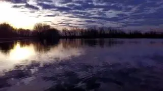 Where is the field?