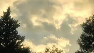 sunrise | warrior cats song | dawn of the clans | scoutpaws