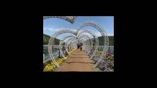 Songhae Park in Dalseong, South Korea. #nature #korea #viral #flowers  #plants #shorts  #introvert