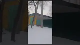 29 ноября 2023 г.