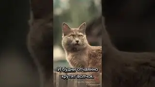 МАЛАЯ РОДИНА - группа Сентябрь